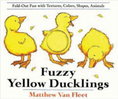 Fuzzy Yellow Ducklings